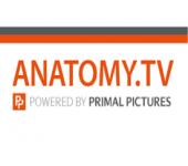 PRIMAL PICTURES Anatomy Veri tabanı deneme erişimi [30 Ekim 2019]