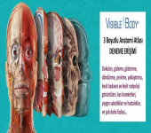 Visible Body Human Anatomy Atlas deneme erişimi