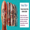 Visible Body Human Anatomy Atlas 7.4.01