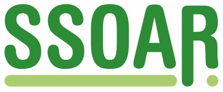 Social Science Open Access Repository (SSOAR)